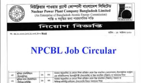 NPCBL Job Circular 2020
