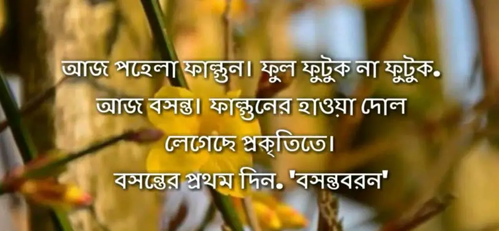 পহেলা ফাল্গুন সাজ