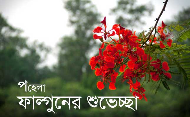 Happy Pohela Falgun Picture