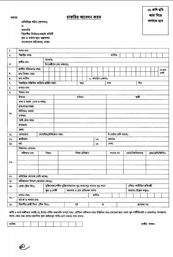 MOLE job Application Form