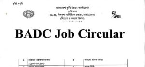 BADC Job Circular 2021