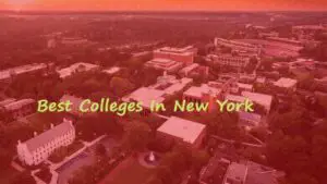 Best Colleges In New York