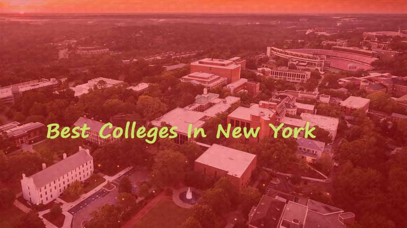 (Updated) Best Colleges In New York 2022 – Public, Computer Science, Nursing